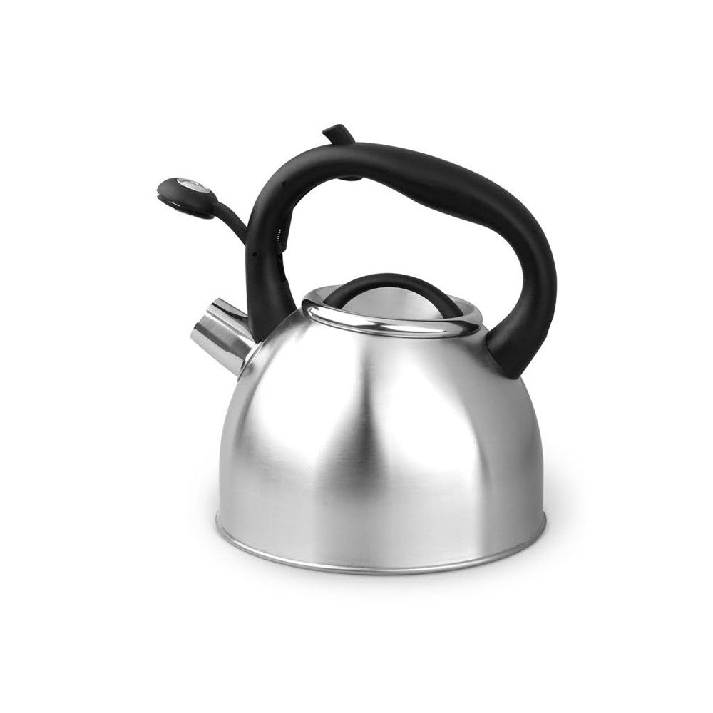 Ceainic Carl Schmidt Sohn Bonn, otel inoxidabil, 2 l