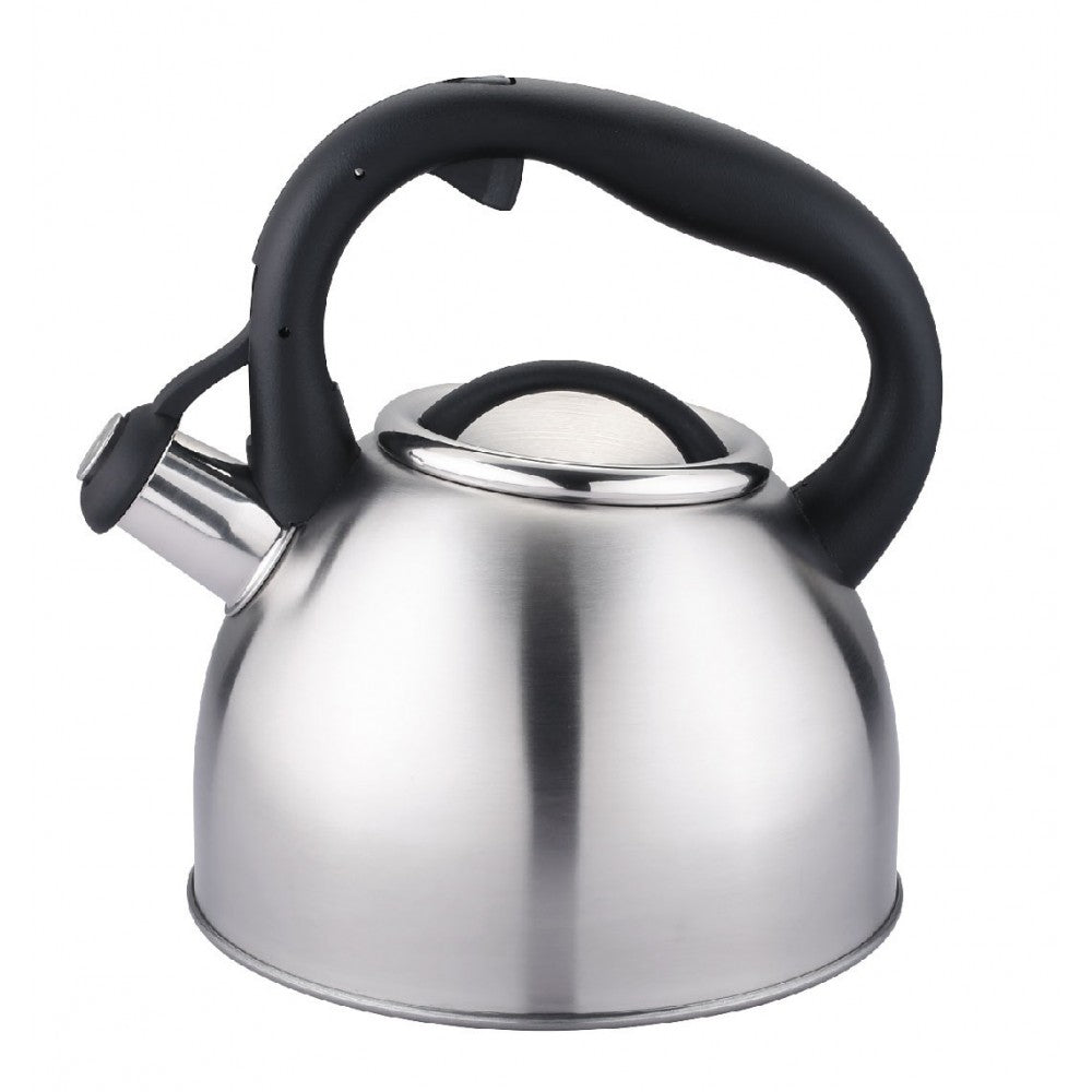 Ceainic Carl Schmidt Sohn Bonn, otel inoxidabil, 2 l