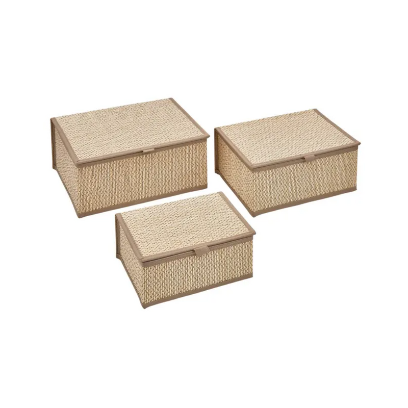 Set 3 cutii depozitare stemy, bambus, 25 x D18 x H 11.5 cm