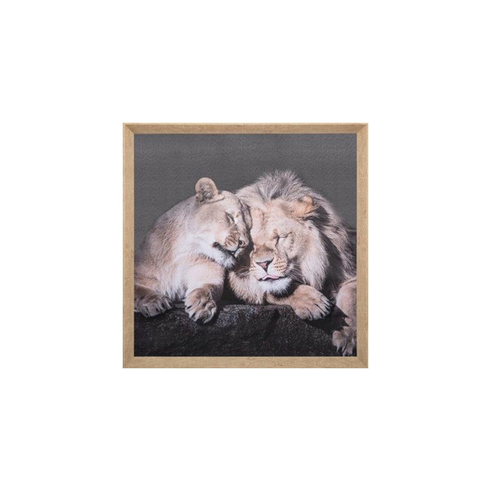 Tablou canvas Lions, 58x58 cm