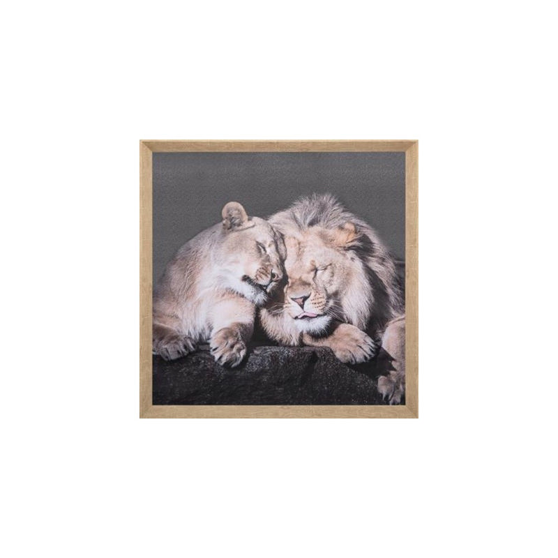 Tablou canvas Lions, 58x58 cm