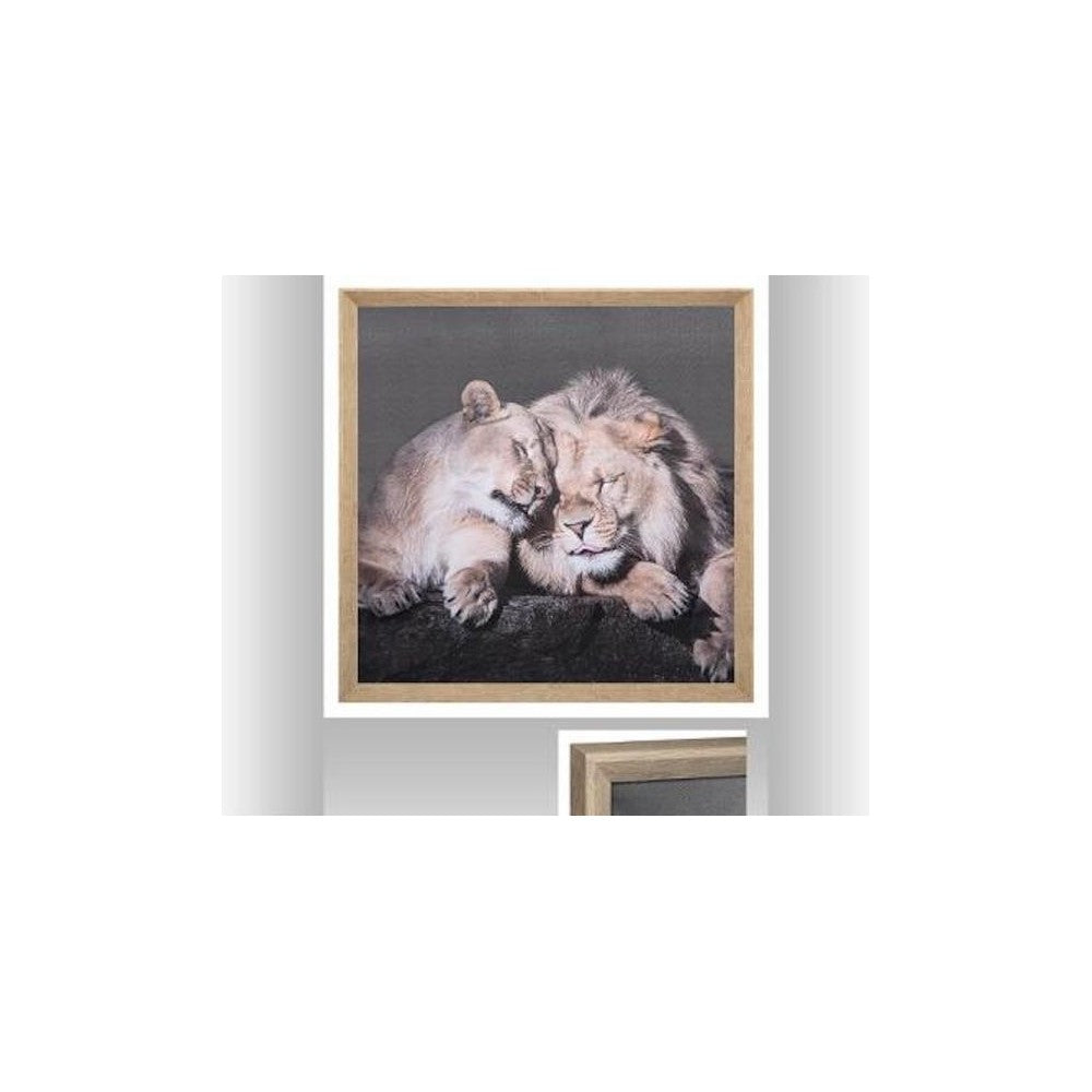 Tablou canvas Lions, 58x58 cm