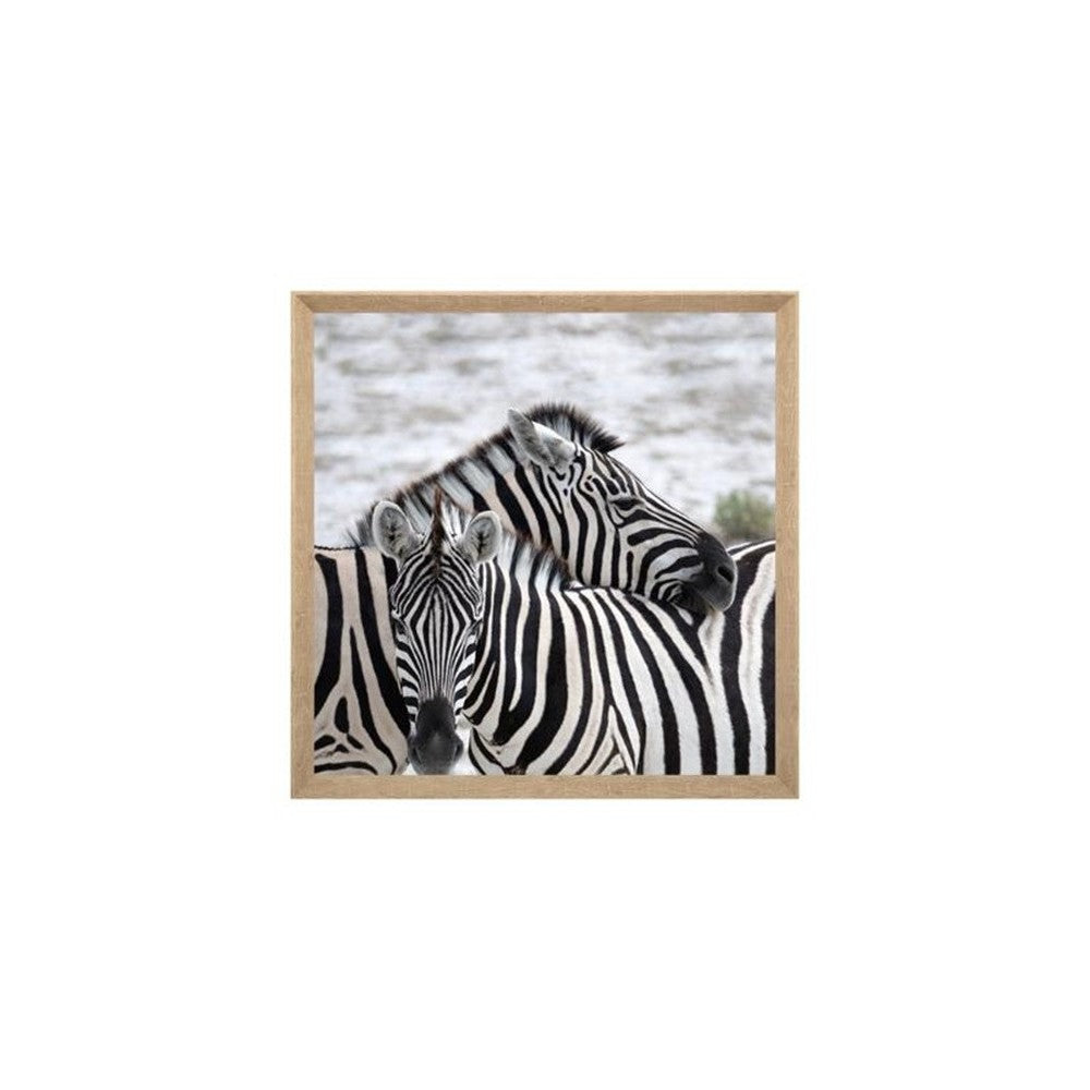 Tablou canvas Zebra, 58x58 cm
