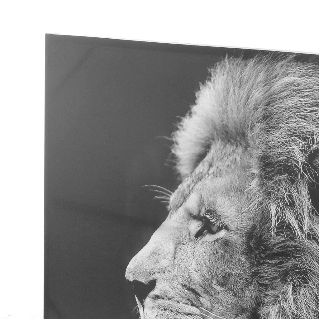 Tablou canvas Lion Black, 118x78 cm